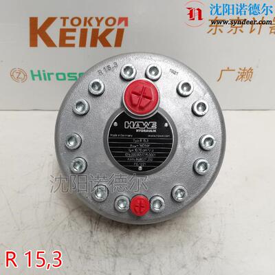 HAWE哈威R15.3和R15,3-15,3-15,3-15,3A柱塞泵单排和四排径向泵