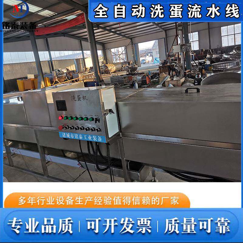 不锈钢洗蛋设备商用鸡蛋清洗风干消毒设备泥蛋喷油打码机
