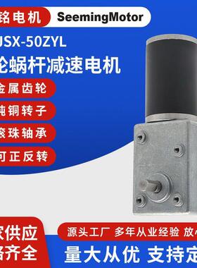 涡轮蜗杆电机600JSX-50ZYL轮椅减速电机机械设备马达减速电机
