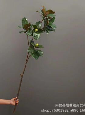 特大仿真手感玉兰叶室内装饰客厅家居摆设餐桌布置造景观景