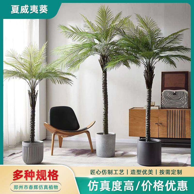 仿真针葵刺葵散尾葵盆栽室内客厅大型落地摆件仿真椰子树北欧绿植,农用物资,其他肥料,淘宝优惠券,粉丝福利购,淘宝优惠卷