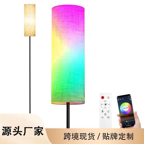 出口落地灯现代简约北欧客厅书房床立式头灯创意RGB落地台灯