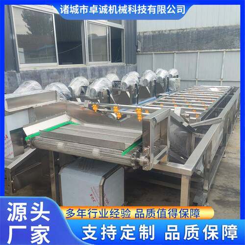 大叶蔬菜气泡清洗流水线全自动果蔬清洗机西红柿洗菜机商用流水线