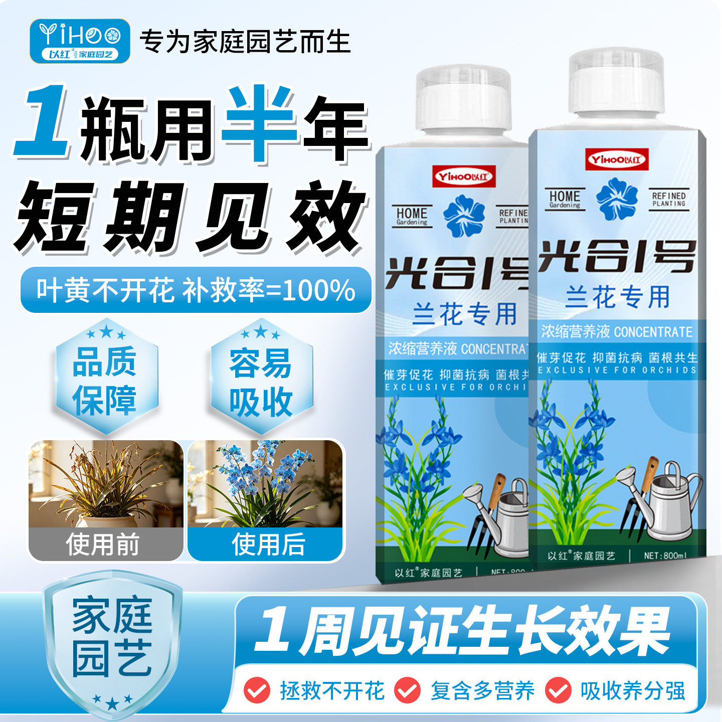 兰花专用营养液多箭素爆芽素肥料蝴蝶兰君子兰多剑兰灵王开花肥料
