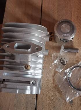 CylinderECHOCS-350TCS-351(39mm)P021-009250气缸活塞组件