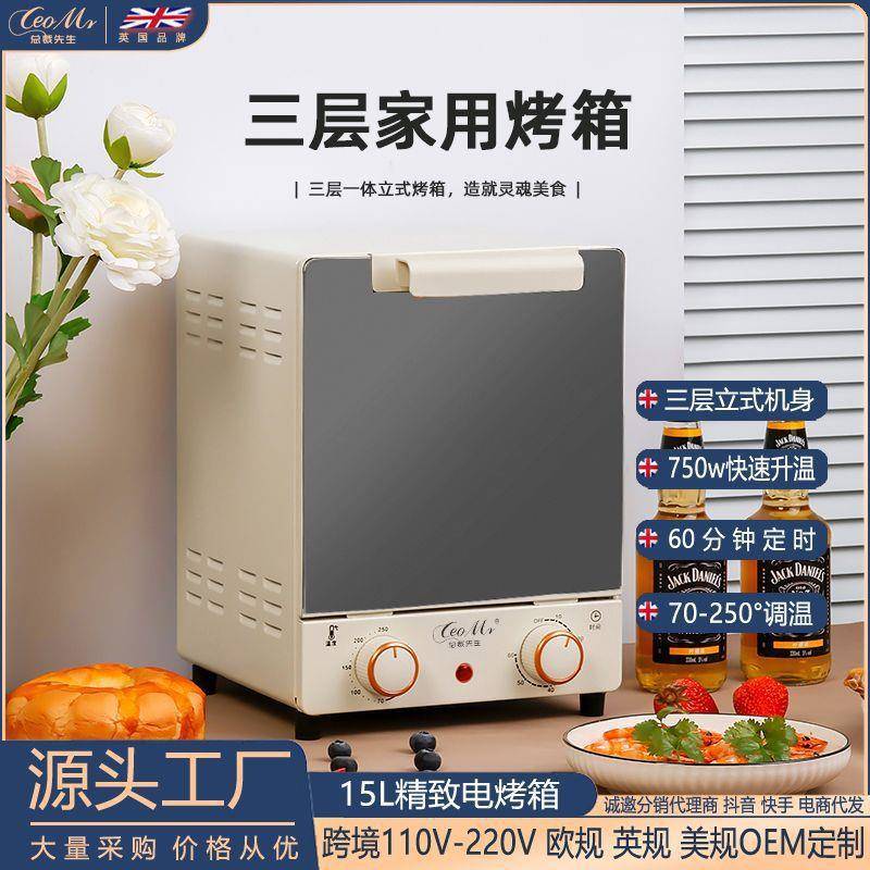 工厂多功能家用镜面15L电烤箱小型烘烤电烤炉网红小烤箱