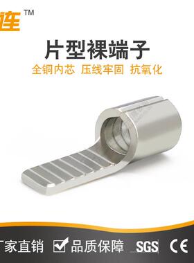 工厂紫铜焊口DBN1.25-10针型冷压接线端子片形插针扁针裸端头线耳