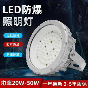 BAD8220W30W40W50W防爆LED泛光灯加油站投光灯LED防爆吸顶灯