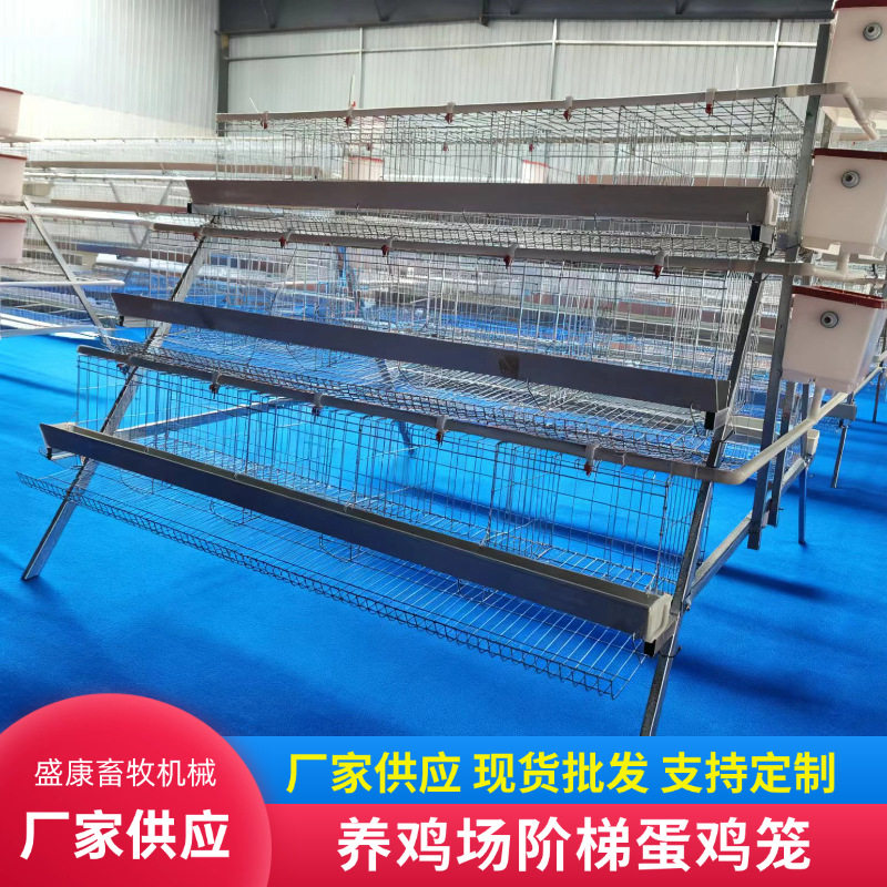 阶梯立式接溜滑产蛋养殖场蛋鸡笼养殖蛋鸡笼农用鸡舍养鸡蛋鸡笼子