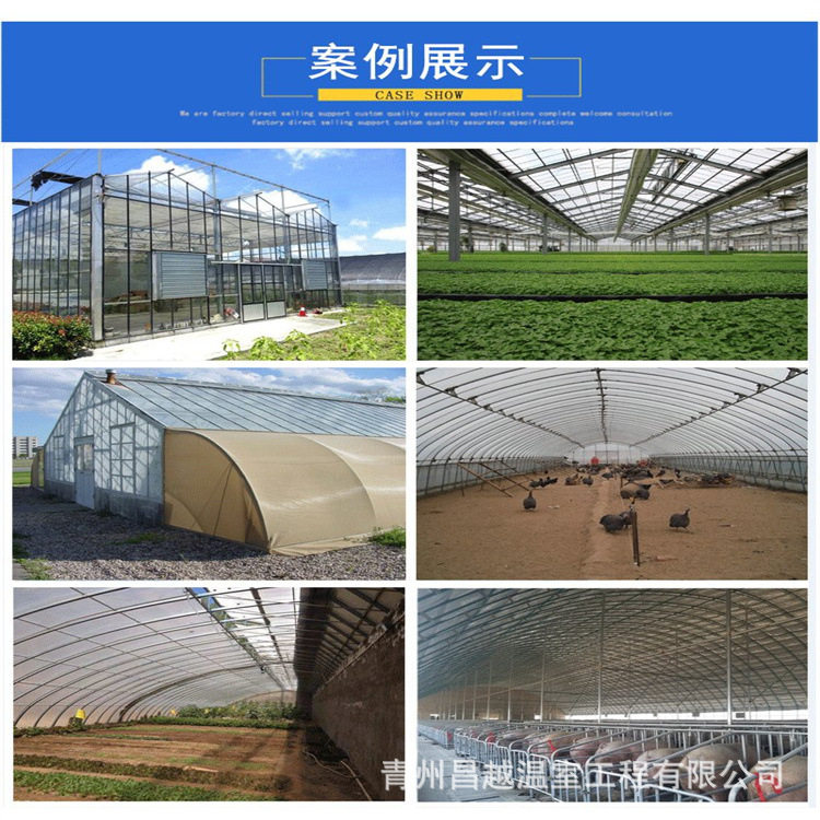新型玻璃温室大棚5+6+5中空钢化玻璃覆盖蔬菜水果种植养殖基地