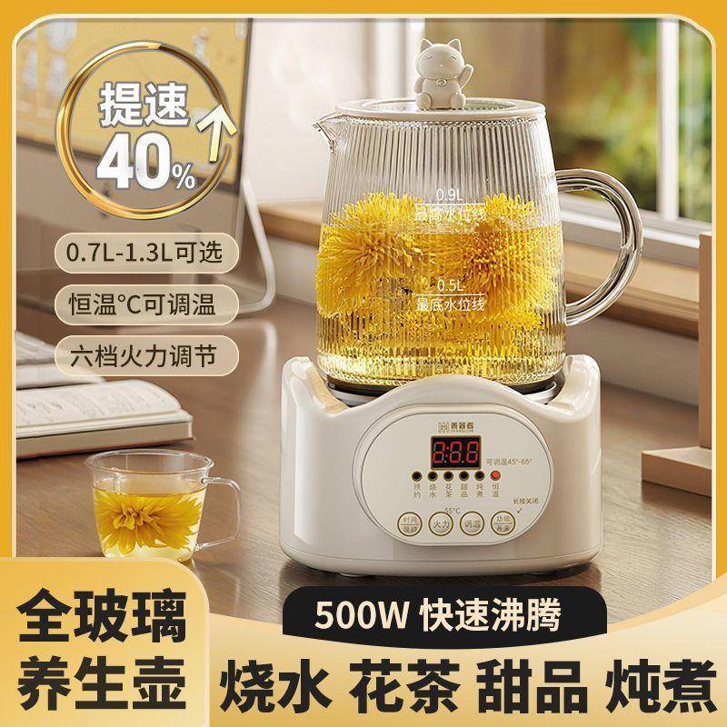 办公室小型养生壶全玻璃家用煮茶壶迷你煮茶器2025款养生杯一人用