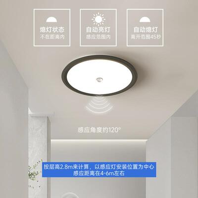 人体感应道灯走廊灯简约现418代ed形入l户楼道楼圆梯阳台小吸顶过