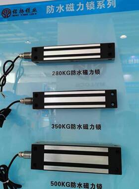 2DPU80锈钢防水磁门力锁12小v区不禁电磁锁285kg承接工程大拉力