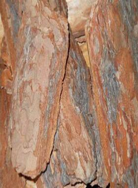 化工厂污水除填臭松树皮料污化肥厂水除臭松树皮填料水VMK除臭填