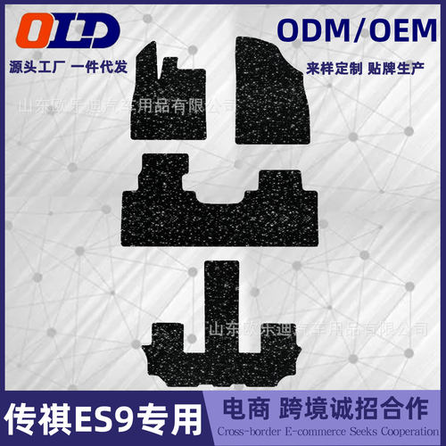 适于传祺ES9脚垫汽车内饰改装保护用品地垫原车毯子平面es9星空毯