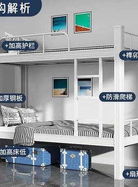 钢制上下学生寝室双铺层床员工舍铁架厚床学校公宿寓83087高低床