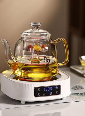 诺洁仕电陶炉迷你茶炉多功能家用电热烧水煮茶全自动小型煮茶器