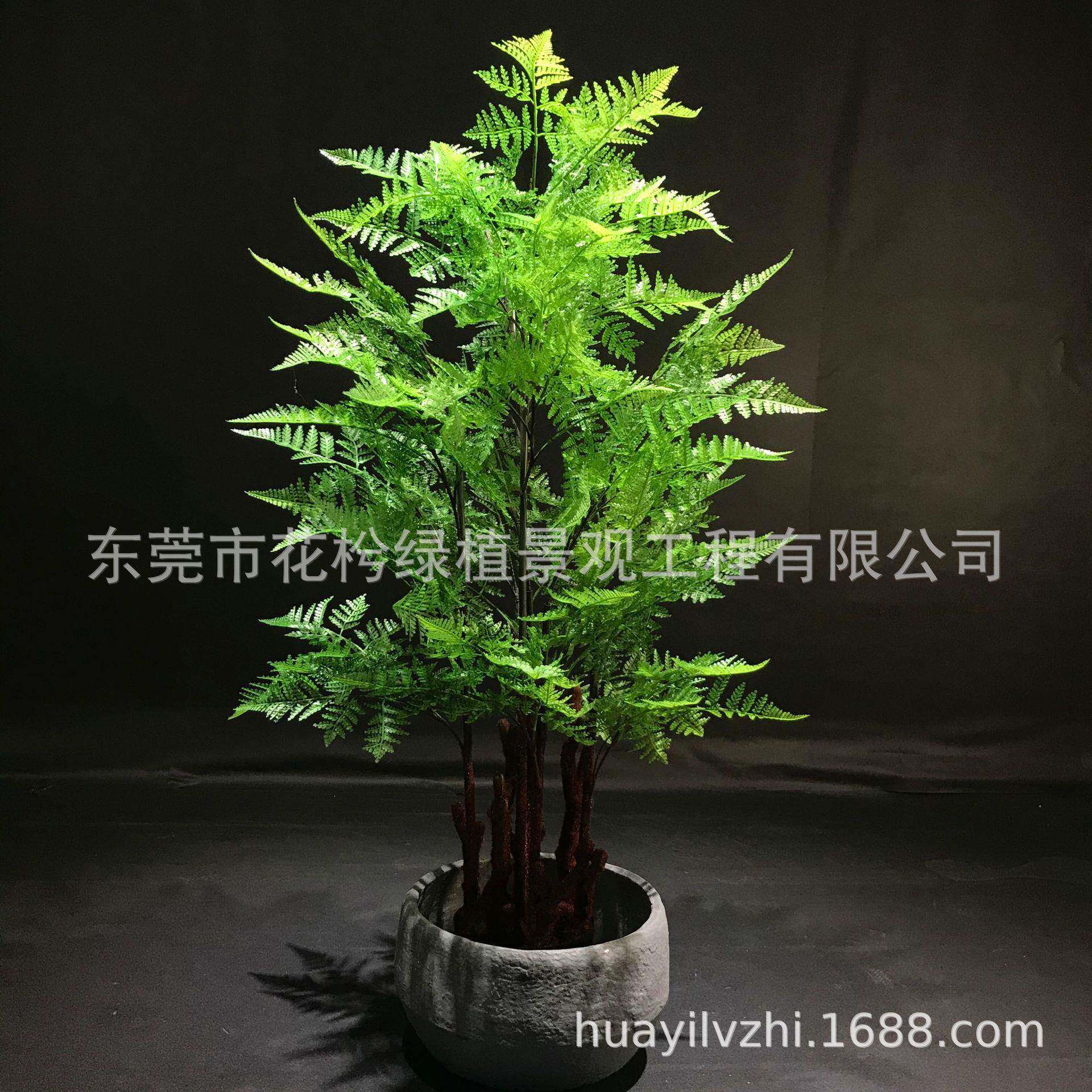 仿真蕨树马尾蕨草盆栽小树仿真绿植仿真波斯草树物盆栽家居装饰