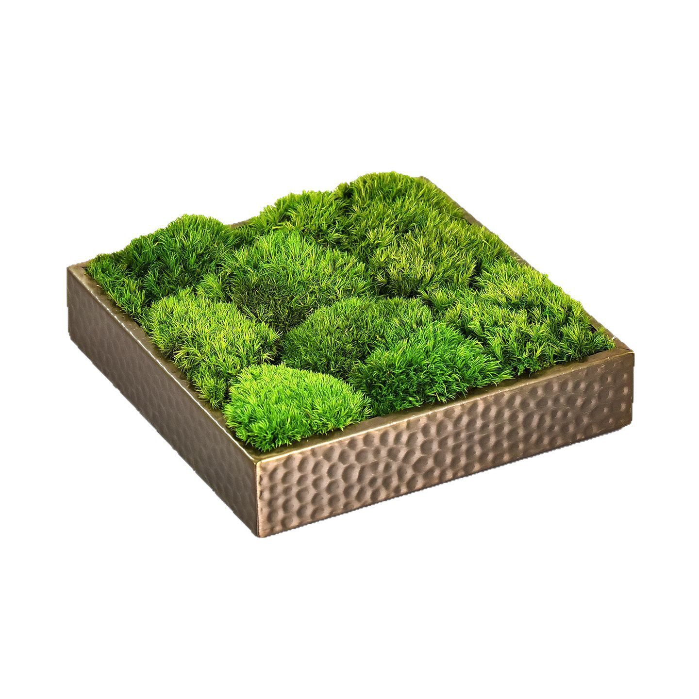 中式锤纹仿铜长条花器玄关客厅茶几创意永生植物青苔盆栽桌面摆件
