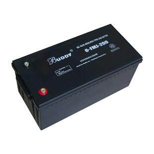 6-GFM-200宝迪蓄电池BUDY蓄电池12V200AH免维护蓄电池