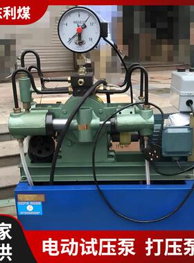 利煤2.5-100Mpa压力容器打压泵4DSY型电动试压泵