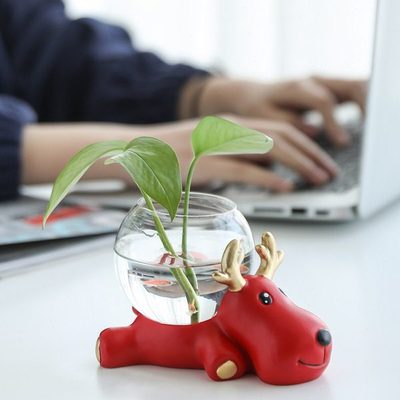 水培植物玻璃瓶透明玻璃花瓶容器绿萝卡通花盆圆球形鱼缸水养器皿