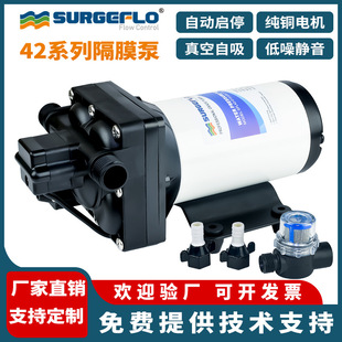 42款 机液体输送水泵 厂家直销110V220v电动隔膜泵小型自吸增压灌装
