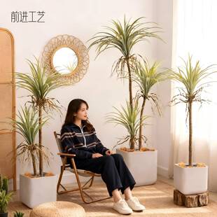 小丝兰树仿真绿植沙生植物摩洛哥风格假树盆栽空间装饰仿真植物