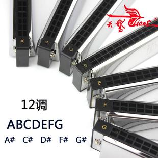 天鹅口琴24孔复音C调A G调口琴初学者儿童成人演奏口琴