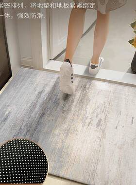 入地户门地垫F97MS8M5进门洗毯门口门垫新款客厅免可裁剪定制轻奢