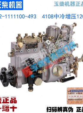 原厂玉柴4108中冷增压发动机D10LD-1111100A-493R喷油泵120 130