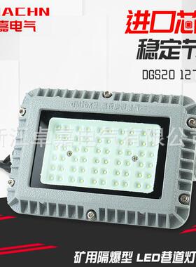 矿用隔爆型LED巷道灯应急DGS20/127L(A)节能防爆照明灯高亮防震