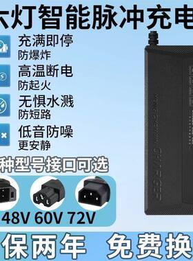 适用新蕾48V60V20Ah72V电动两轮车充电器石墨烯铅酸电池