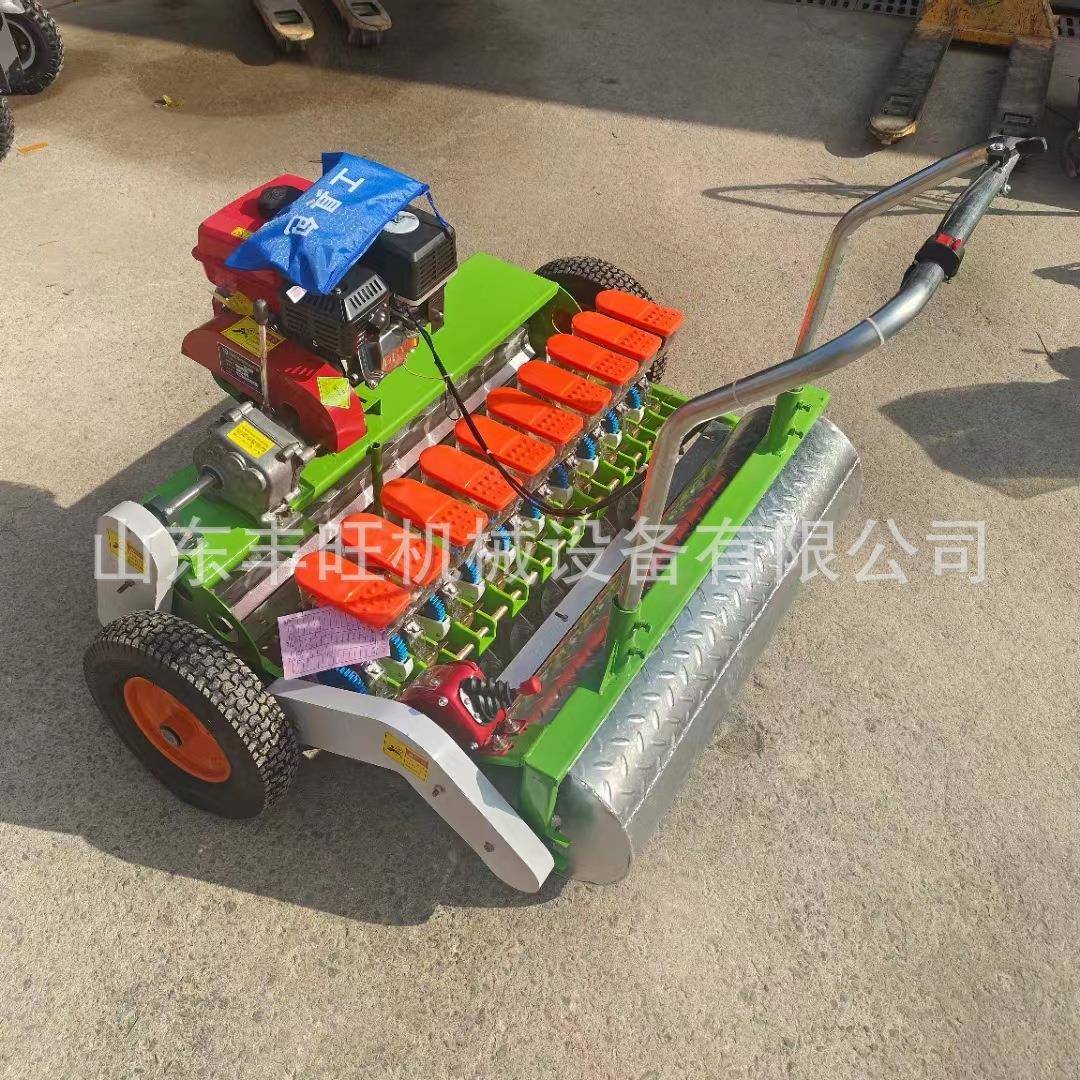 汽油多行蔬菜播种机菜籽叶菜类播种机免间苗大棚蔬菜种植机
