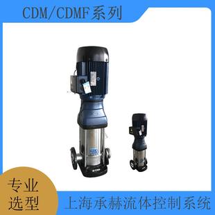 泳池供水加热冷热水循环水泵CDMF1 不锈钢多级离心泵220V 2立式