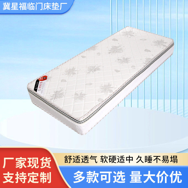 租房用家用加厚单双人海绵床垫榻榻米透气舒适海绵整床软垫子