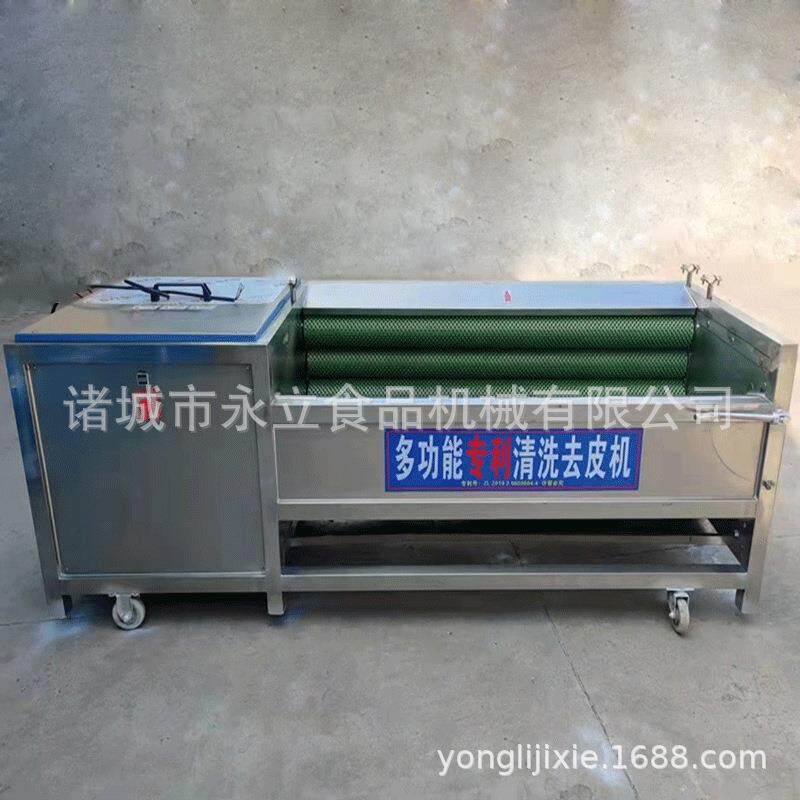 供应喷淋式蔬菜清洗机根茎类果蔬高压冲洗流水线