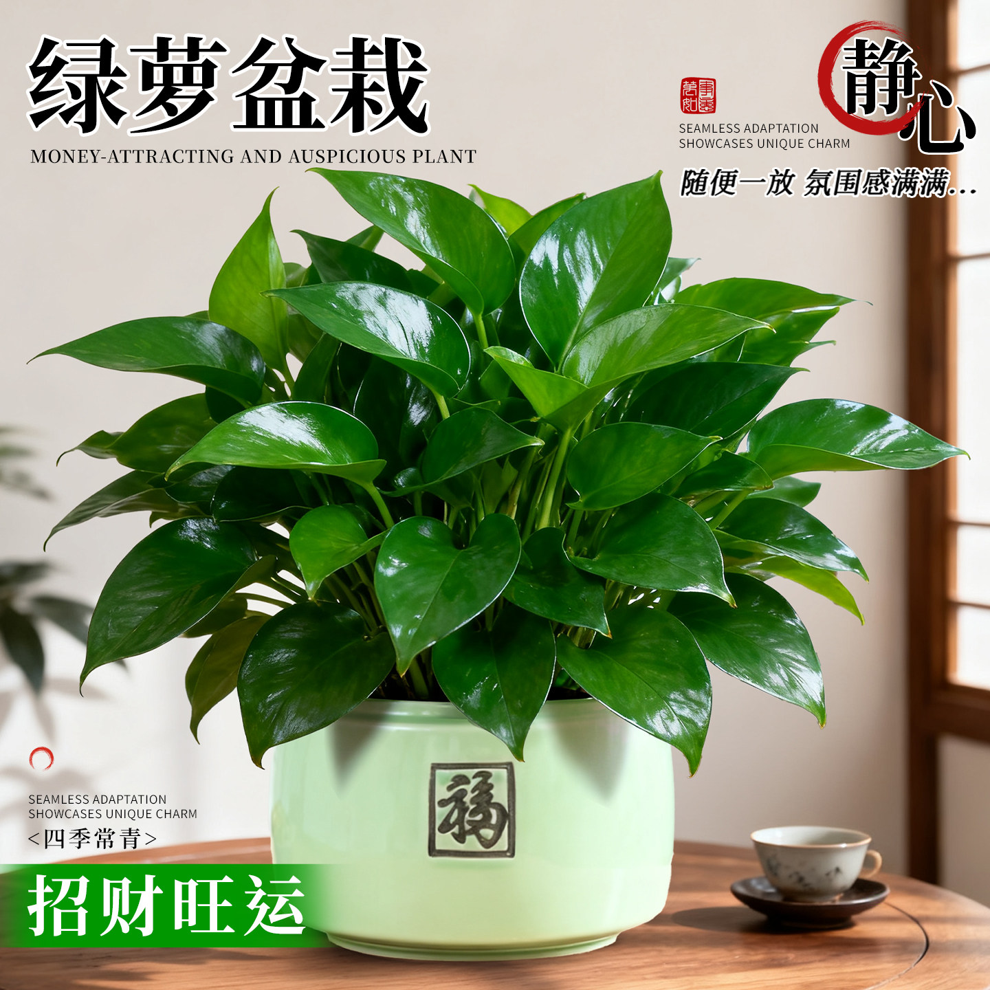 绿箩植物盆栽室内绿植新房家用客厅办公室桌面大叶绿萝耐阴好养活