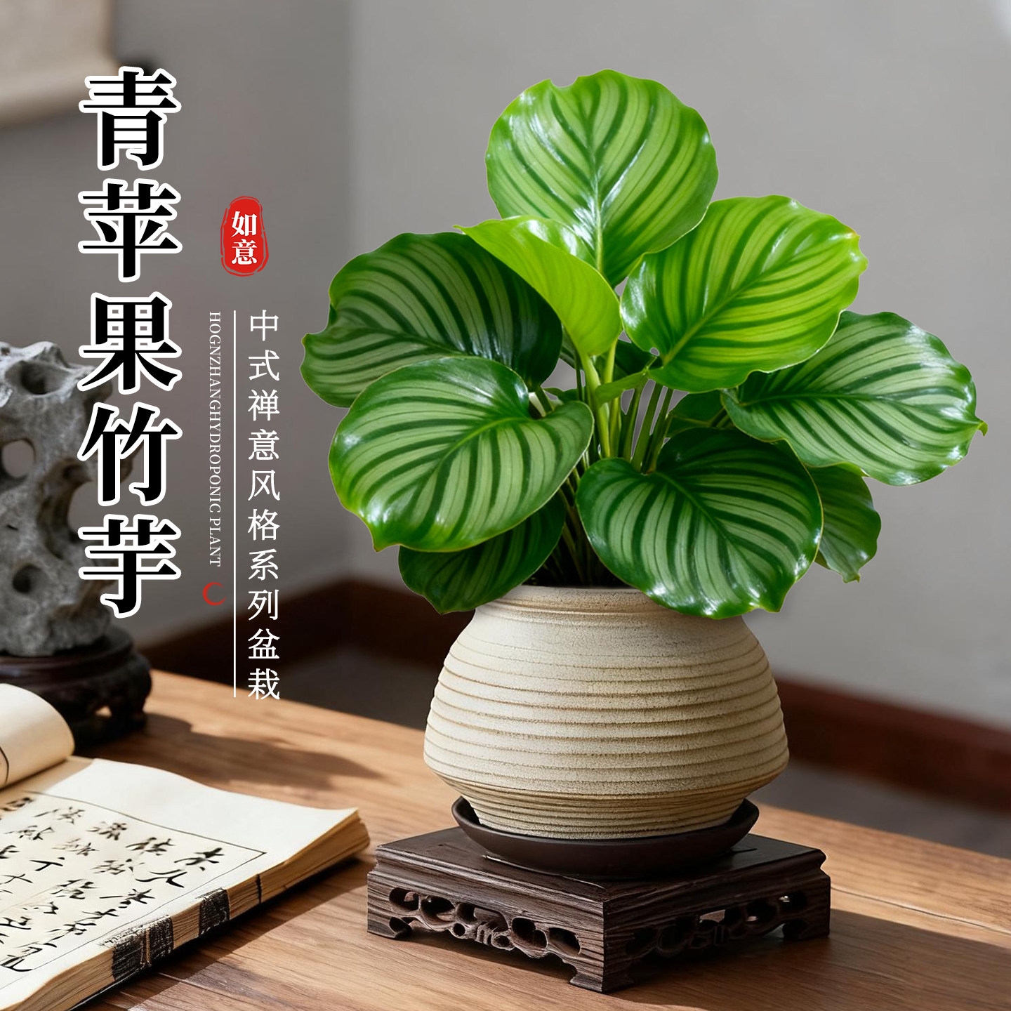 青苹果竹芋盆栽室内植物客厅中式禅意盆景桌面绿植四季常青好养活,鲜花速递/花卉仿真/绿植园艺,绿植,淘宝优惠券,粉丝福利购,淘宝优惠卷