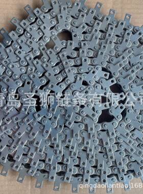 SUS304不锈钢06B08A08B10A12A16A20AB单侧直立板输送链带耳输送链