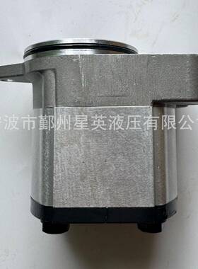 RexrothA8VO55A8VO80A8VO107A8VO140液压泵配件补油泵齿轮泵