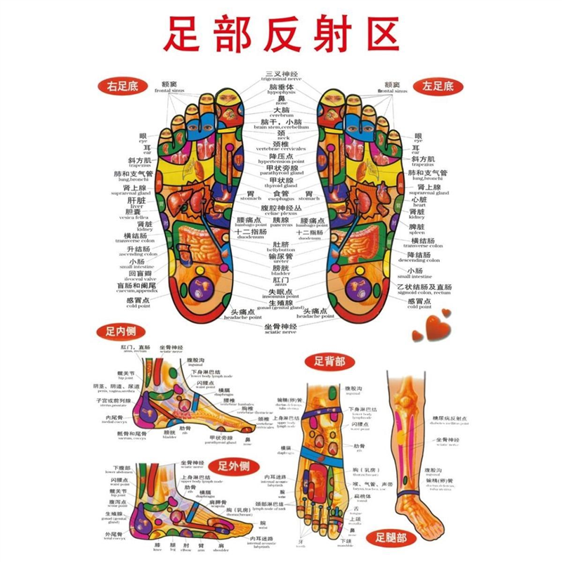 足部反射穴位图养生美容院足底按摩海报足疗的十大好处脚底穴位图