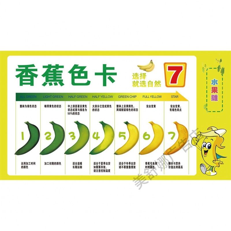 香蕉色卡海报展板广东本地群蕉荟萃有机大香蕉天然香蕉墙贴墙纸