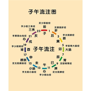 中医养生五行子午流注挂图 金木水火土五行图五脏六腑墙贴海报