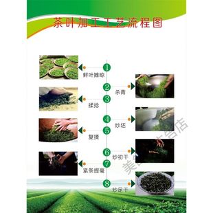 茶叶加工工艺流程图制茶步骤主题墙布置装饰画海报墙贴背胶定制画