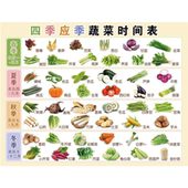 饰画挂图KT板 蔬菜时间表海报展板墙贴墙纸装 四季 应季