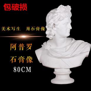 勃兰特石膏像人物石膏头像阿普罗胸像阿波罗胸像写生教具美术用品