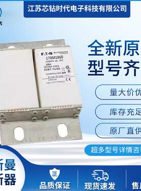 170M1866 170M1867 巴斯曼BUSSMANN熔断器保险丝