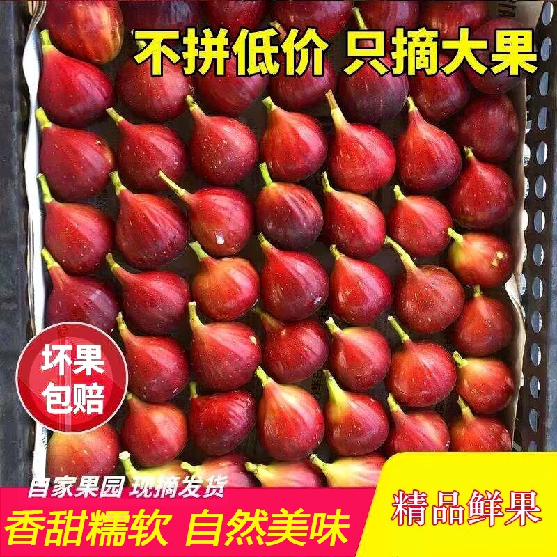新鲜无花果红色水果当季整箱大果孕妇鲜果现摘特级红皮三斤包邮