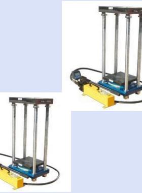 原位轴压仪(中西器材）型号:ZXHD-80库号：M407185